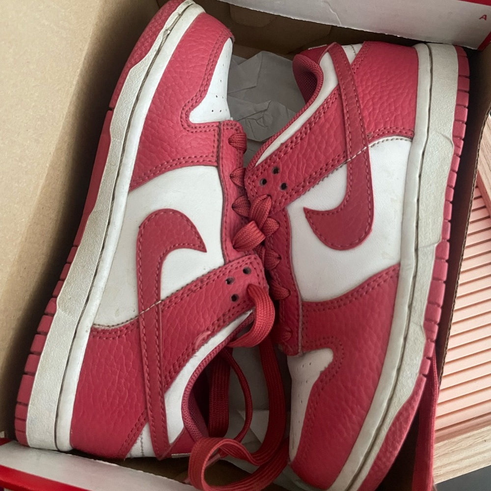 Little kids Nike dunks
